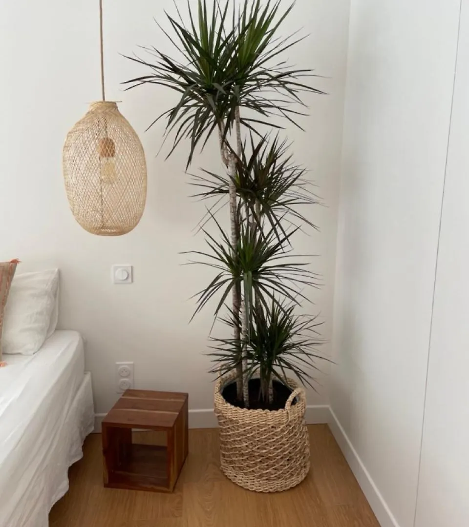 Suite 671 Reyrieux 0*,  France